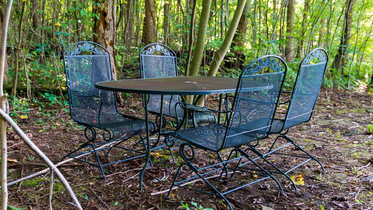 Photo of Outdoor in Dandridge