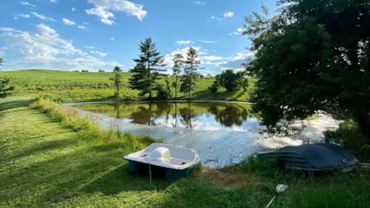 Photo of Outdoor in Carpenter