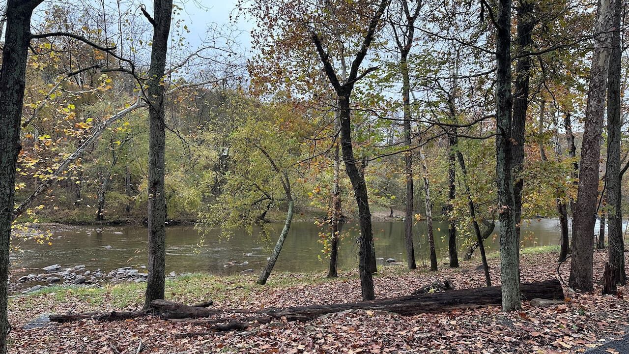Photo of Others in Great Cacapon