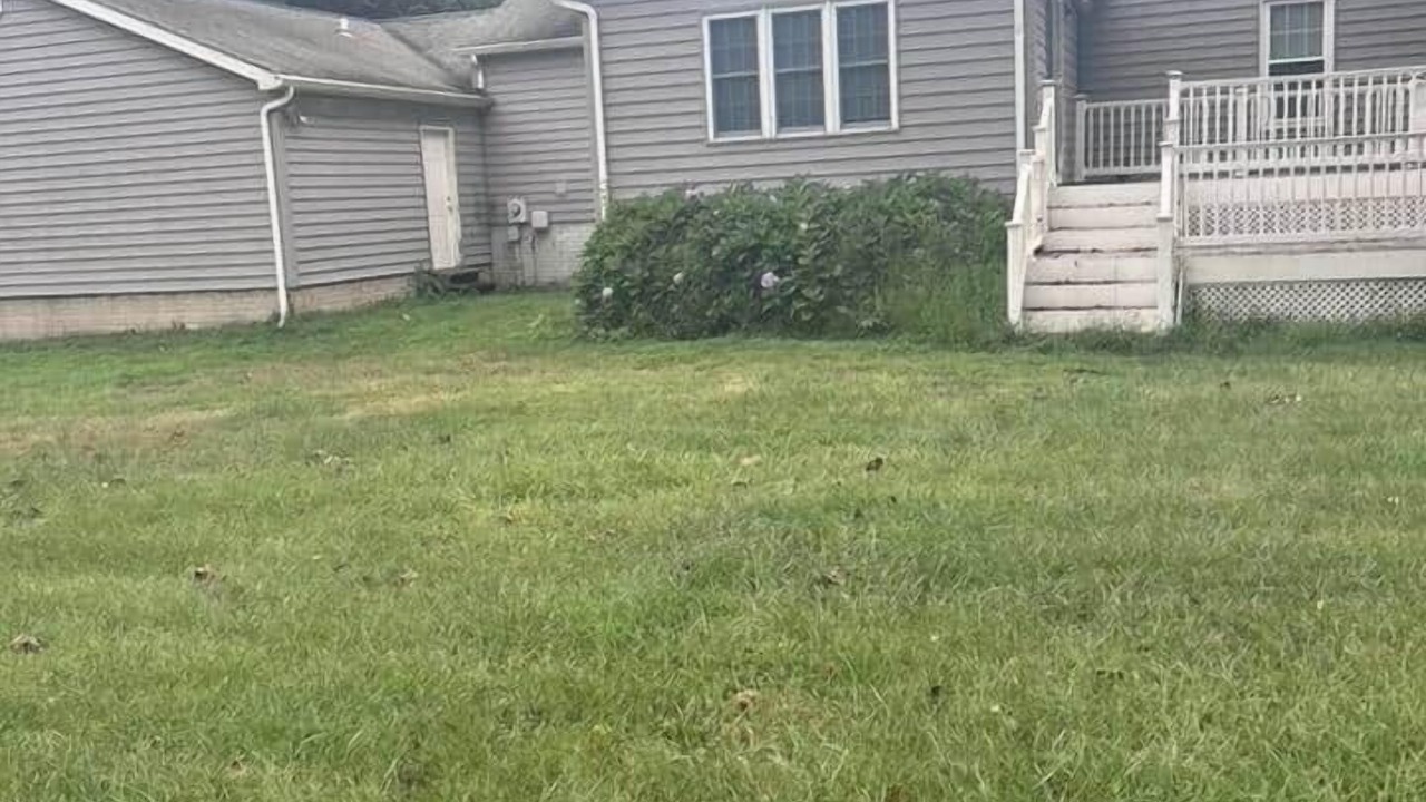 Photo of Others in Adamstown