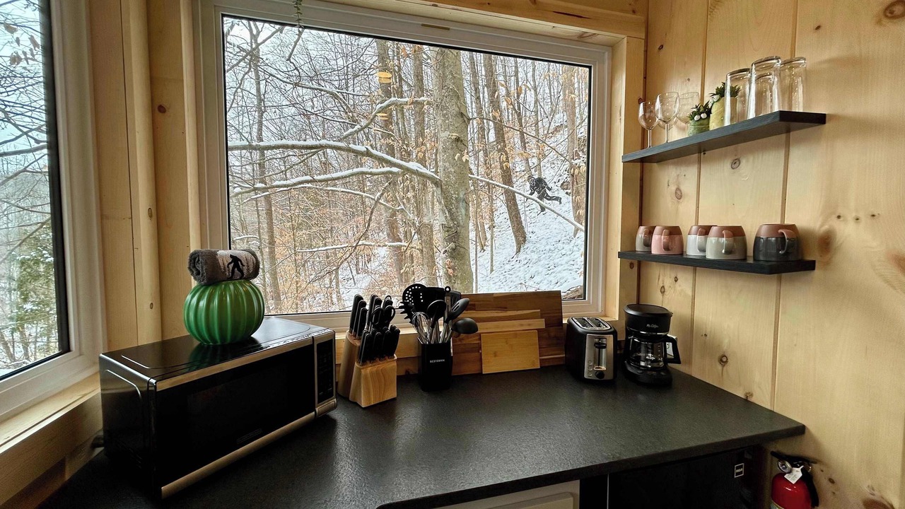 Photo of Kitchen in Slade