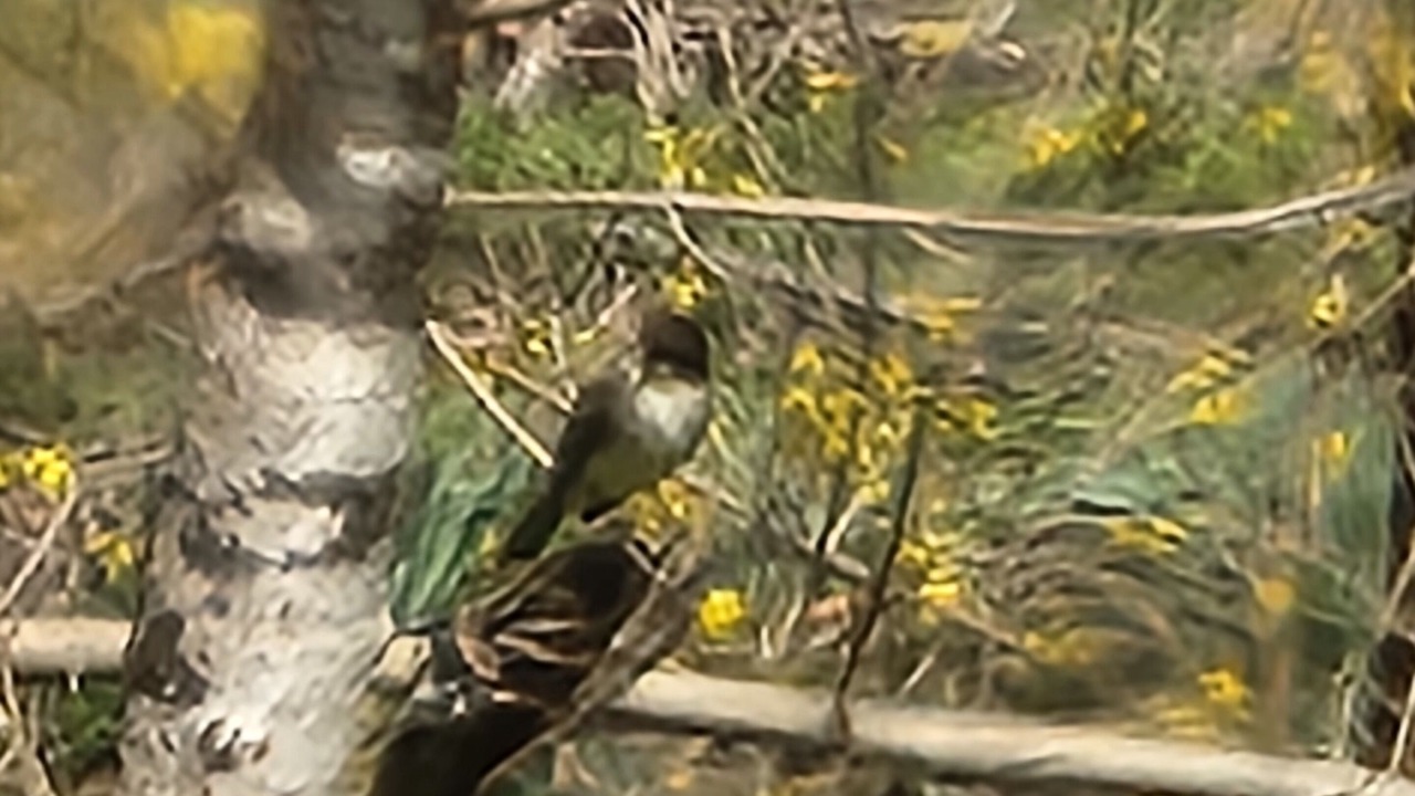 Photo of Others in Kerr