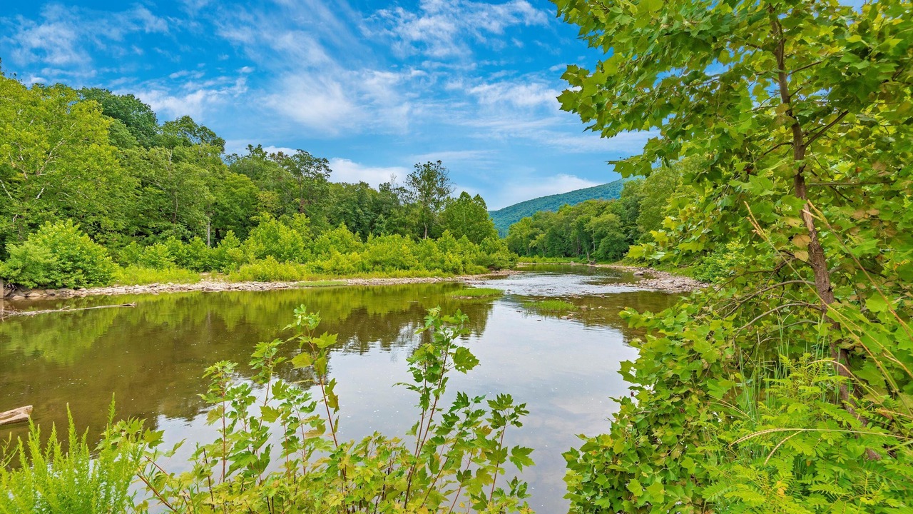 Photo of Others in Great Cacapon