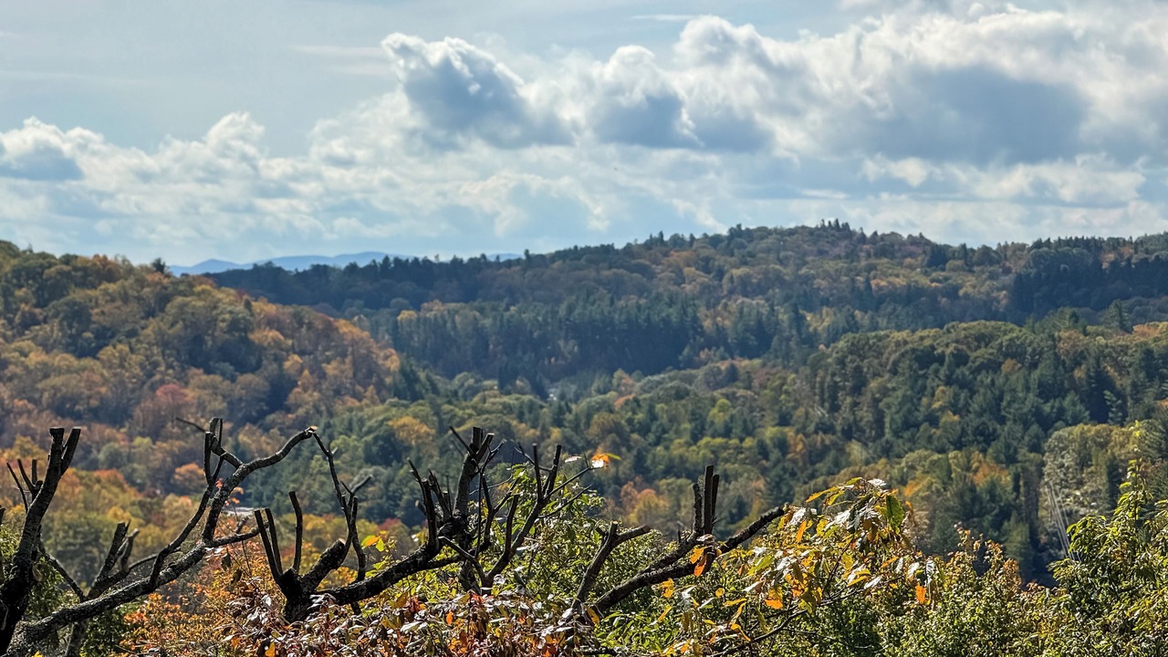 Photo of Others in Blowing Rock