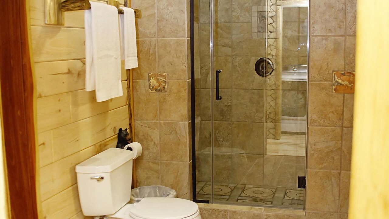 Photo of Bathroom in Henlawson