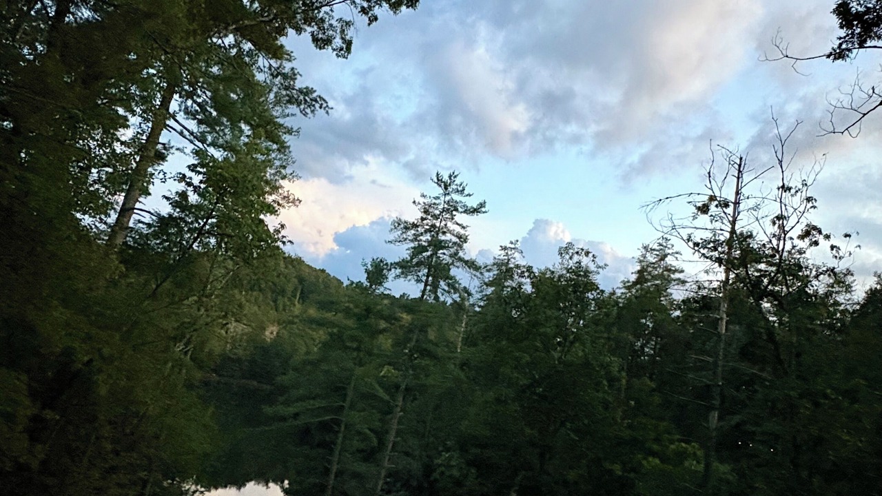 Photo of Others in Campton