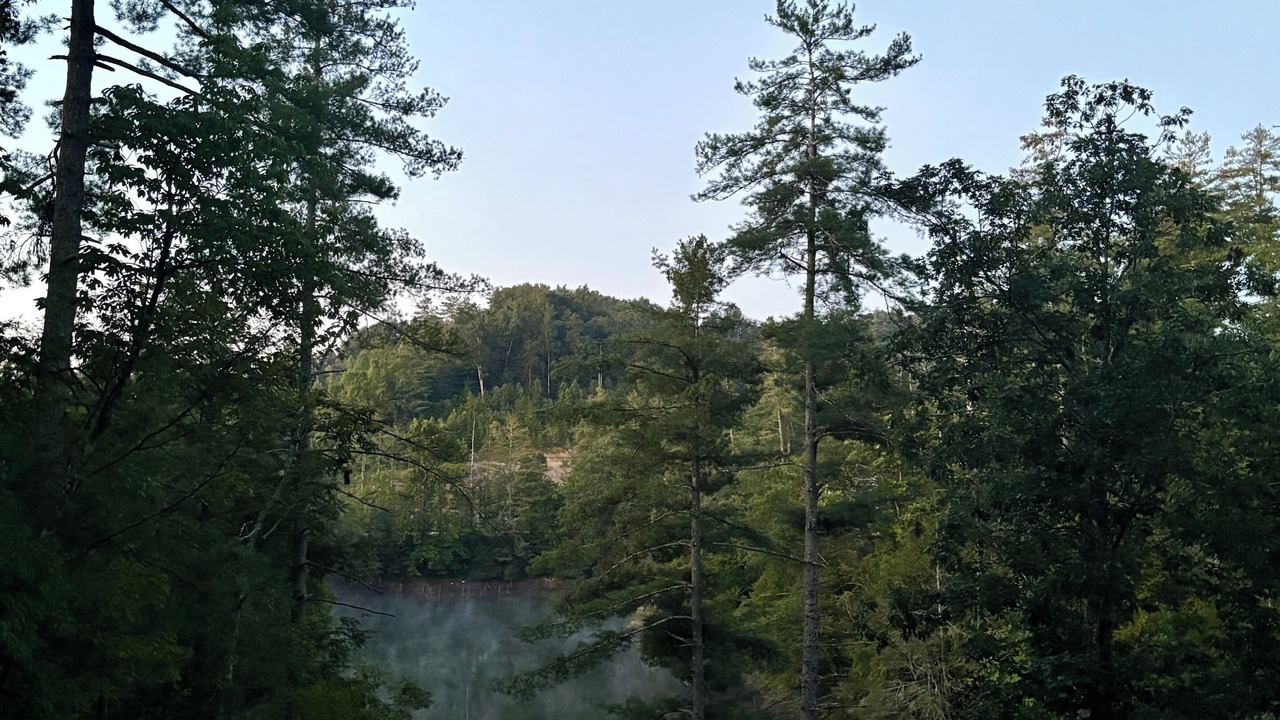 Photo of Others in Campton