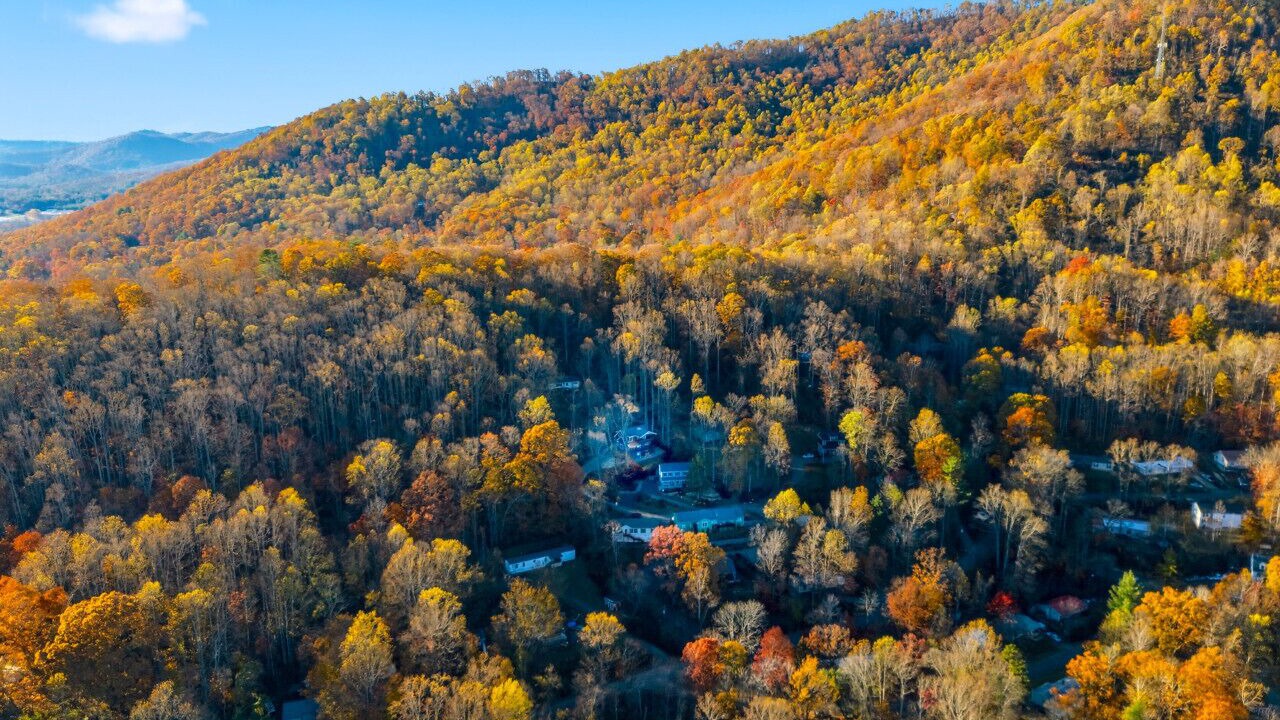 Photo of Outdoor in Swannanoa
