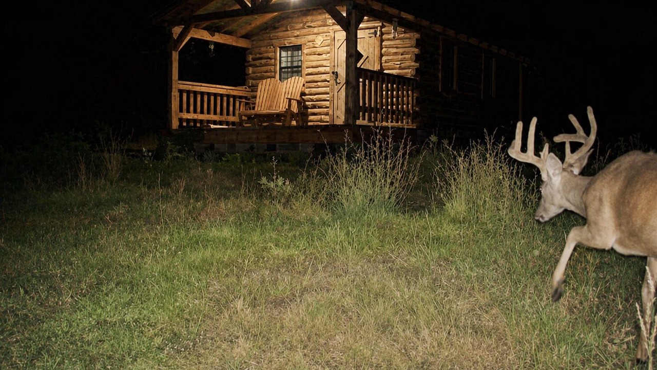 Photo of Outdoor in Kerr