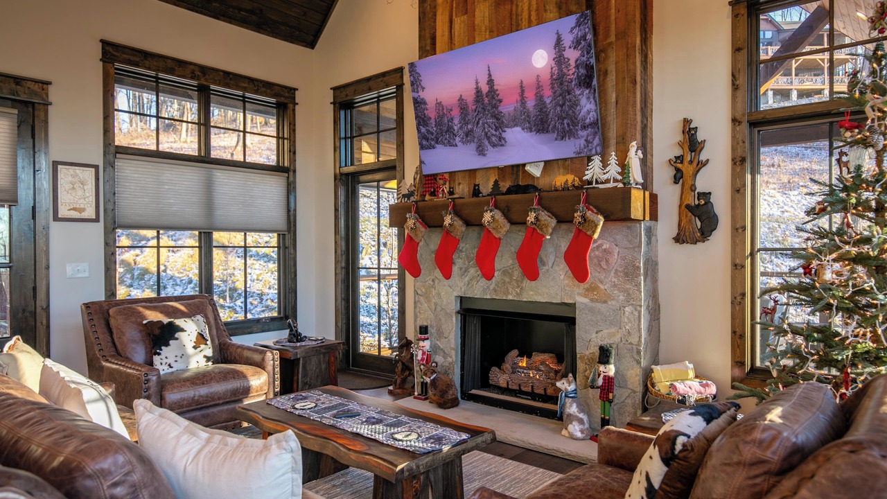 Photo of Livingroom in Elk Park