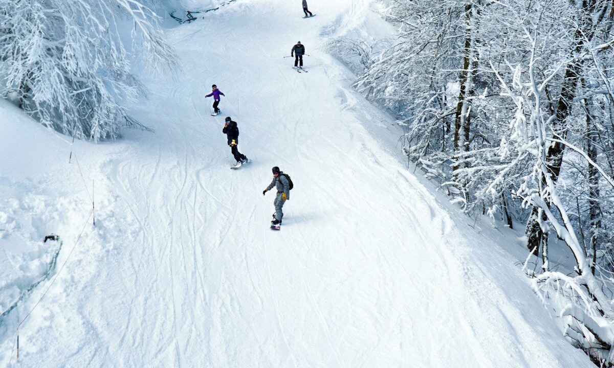 Photo of Others in Sugar Mountain