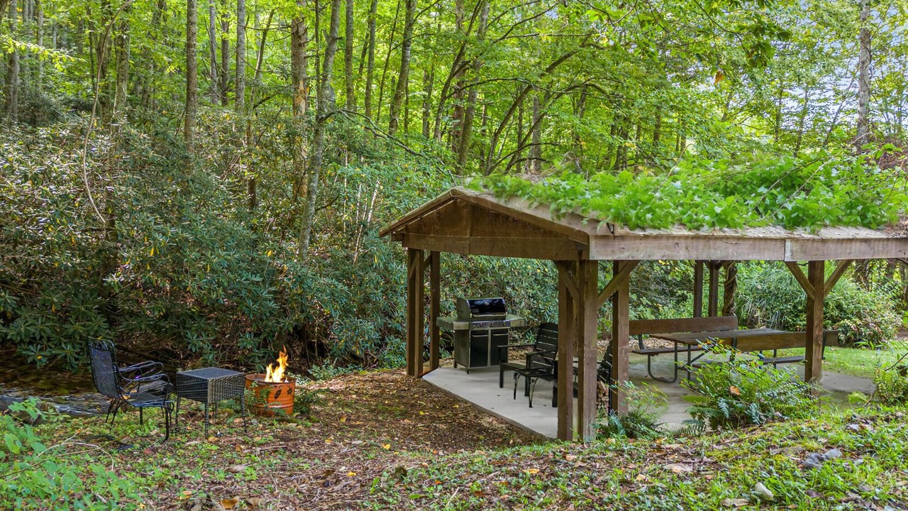 Photo of Outdoor in Candler