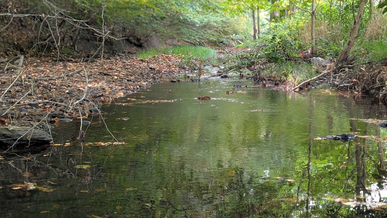 Photo of Others in Spurlockville