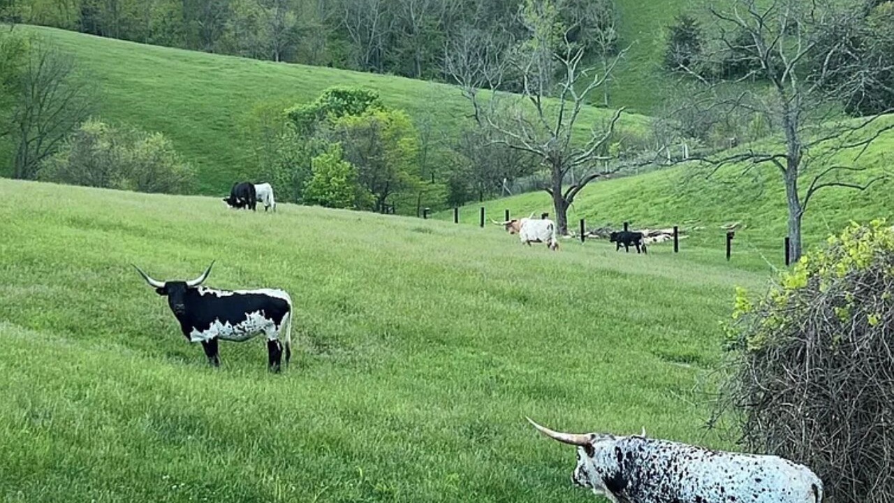 Photo of Others in Moorefield
