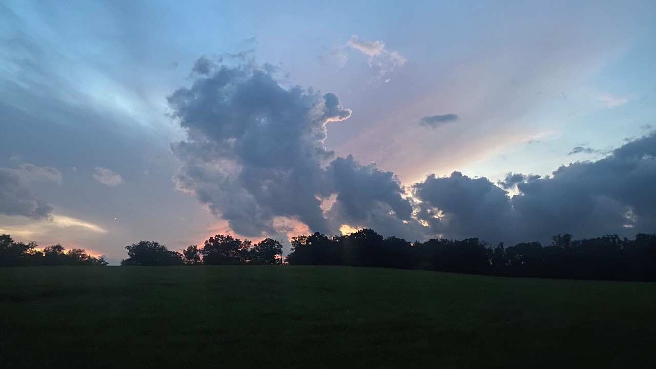 Photo of Others in Middleburg