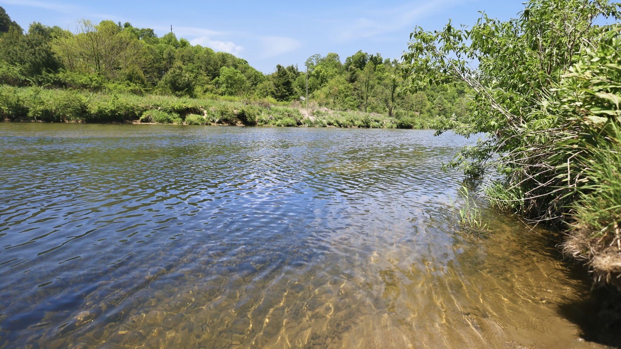 Photo of Others in West Jefferson