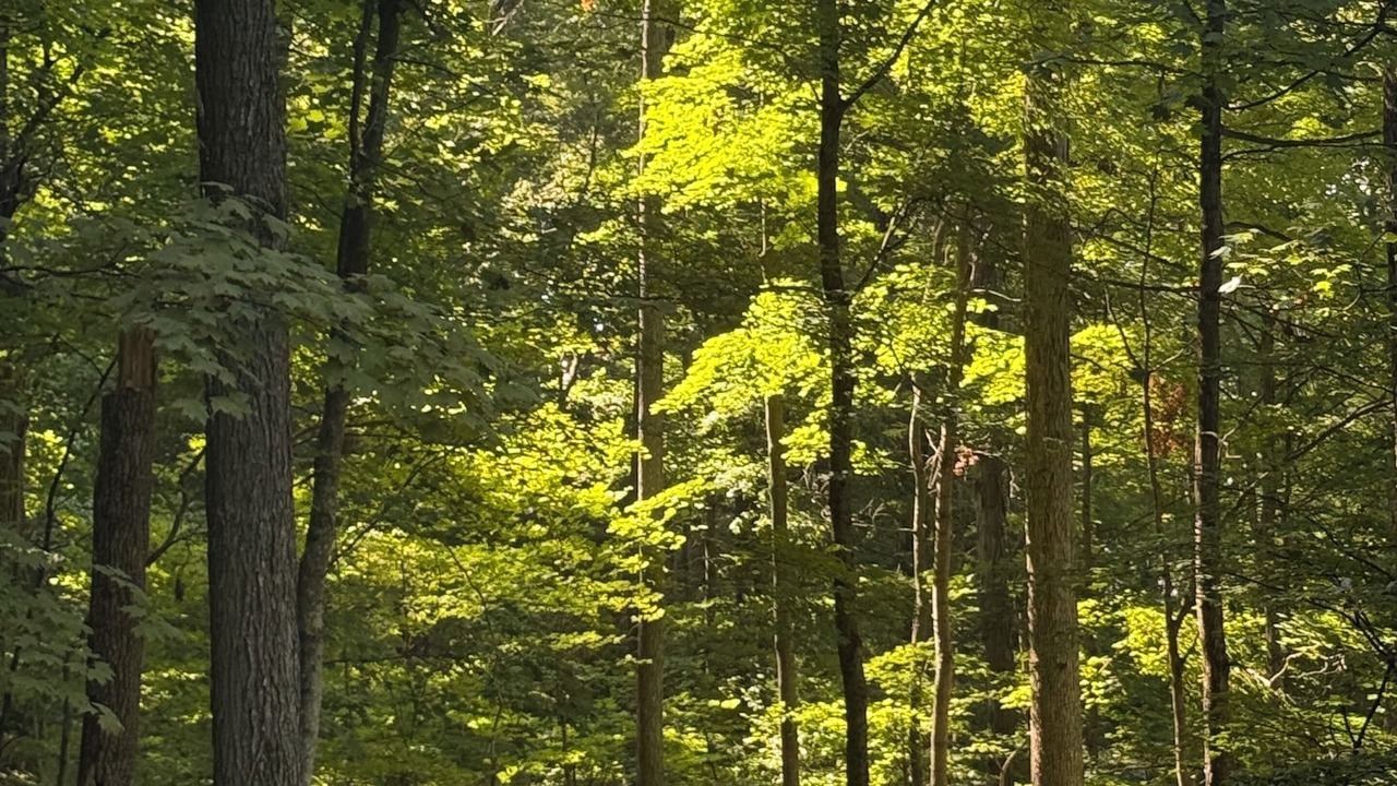 Photo of Outdoor in Means