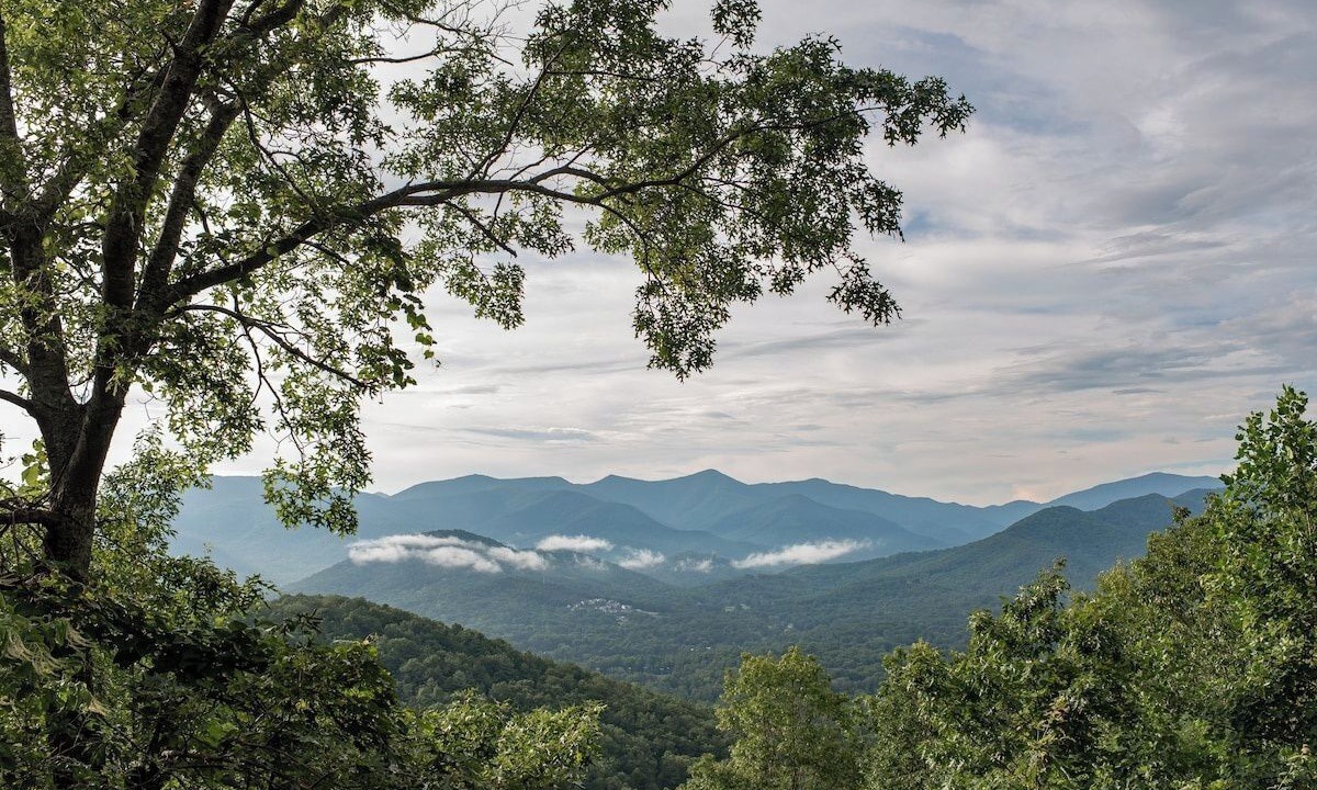 Photo of Others in Black Mountain