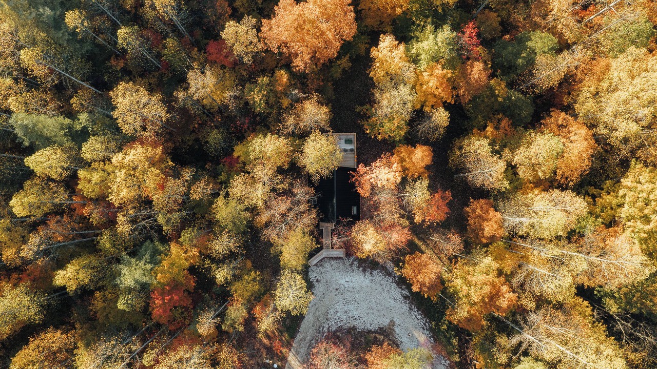 Photo of Outdoor in Rogers