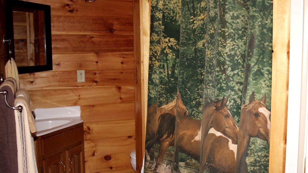 Photo of Bathroom in Mingo
