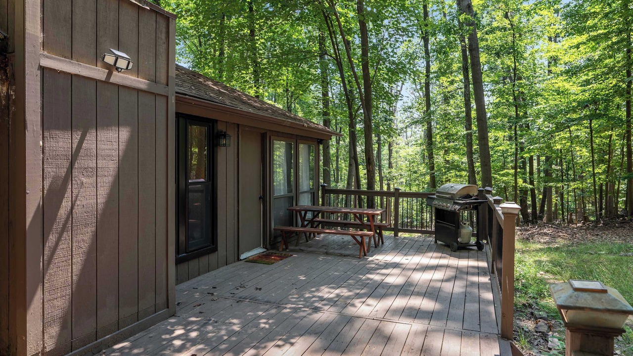 Photo of Outdoor in The Woods