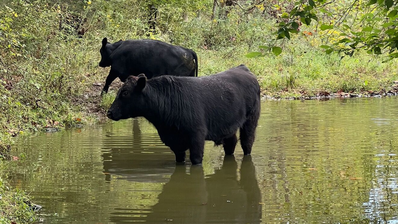 Photo of Others in Hillsboro
