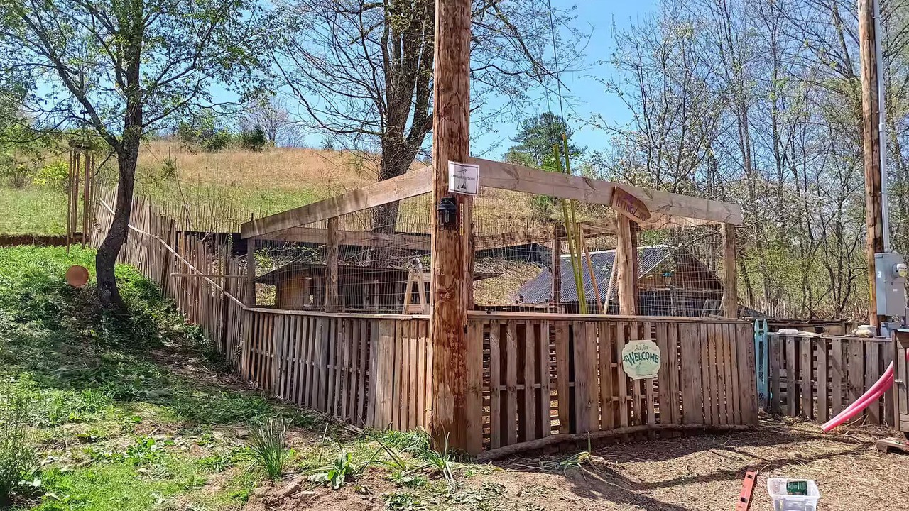 Photo of Outdoor in Laurel Bloomery