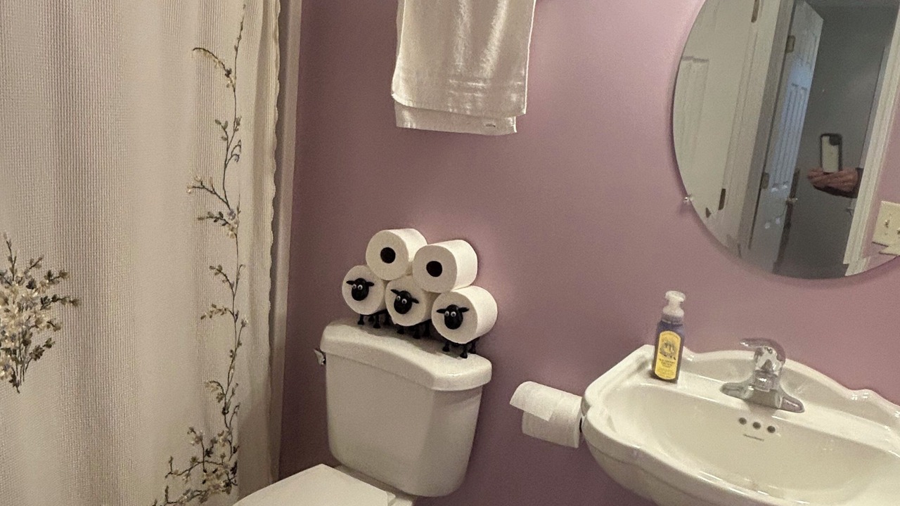 Photo of Bathroom in Spurgeon