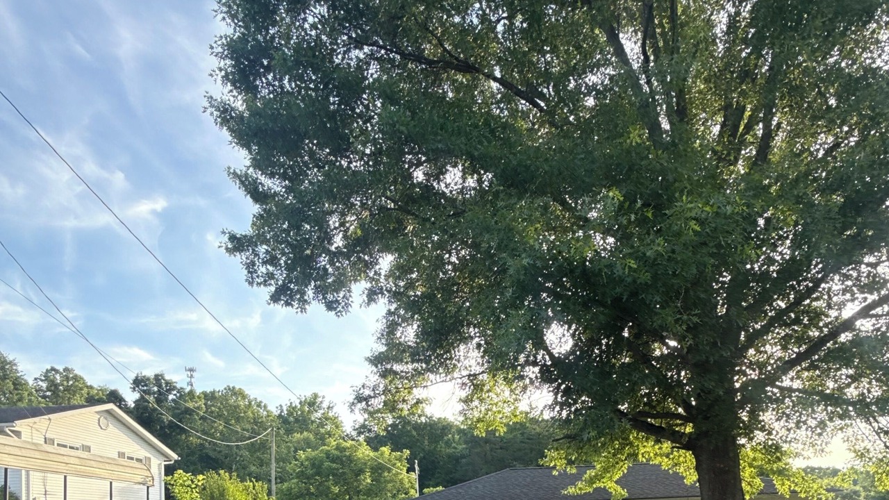Photo of Outdoor in Cannonsburg