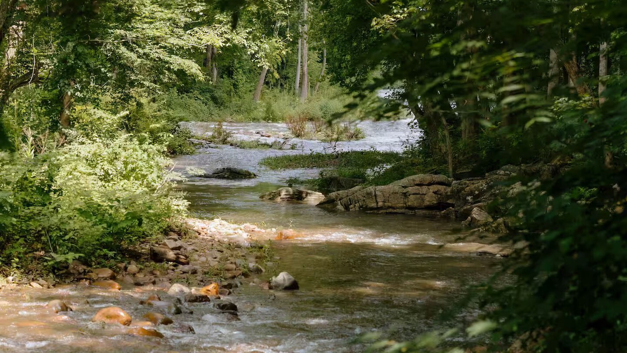 Photo of Others in Elizabethton