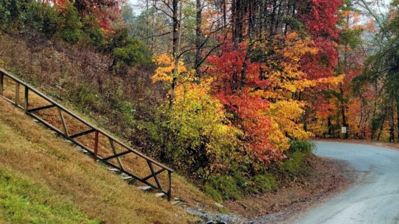 Photo of Outdoor in Lake Lure