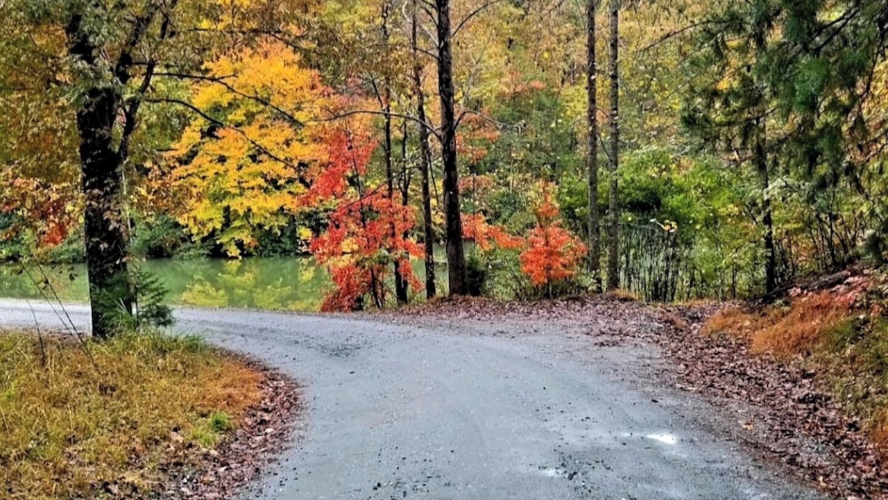 Photo of Outdoor in Lake Lure
