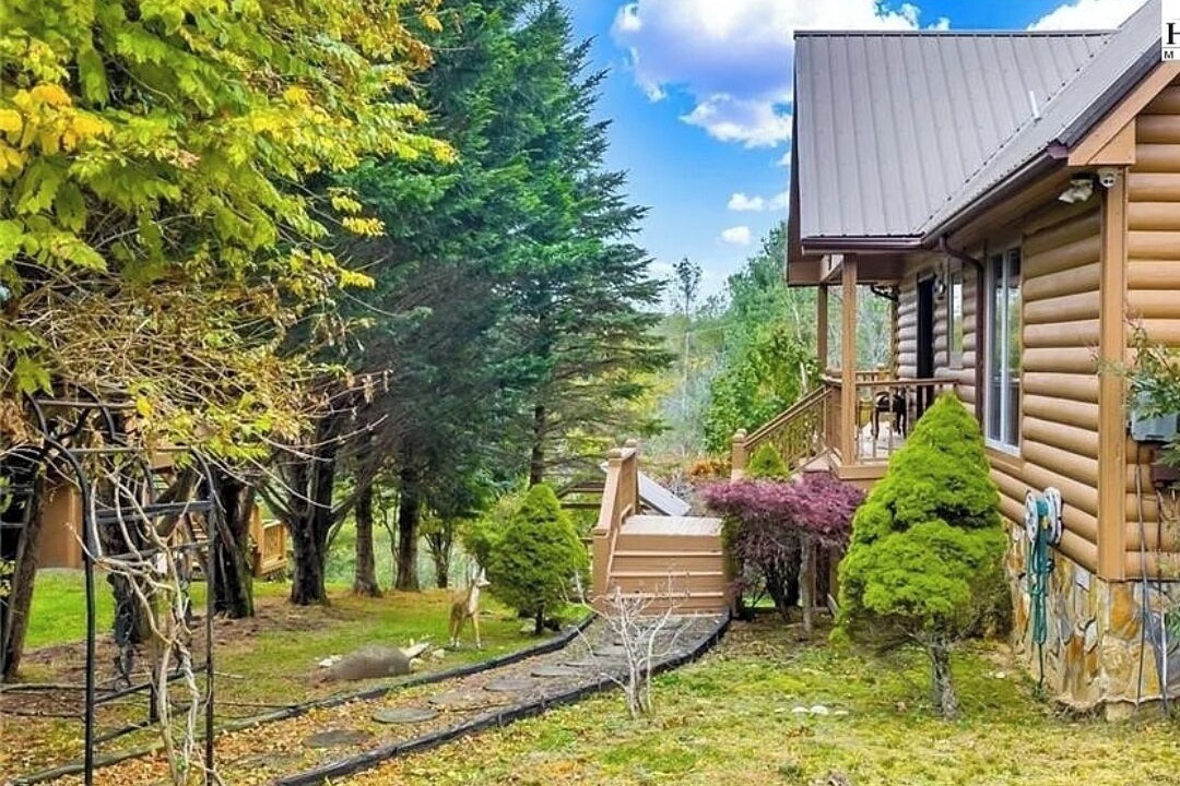 Photo of Outdoor in Piney Creek