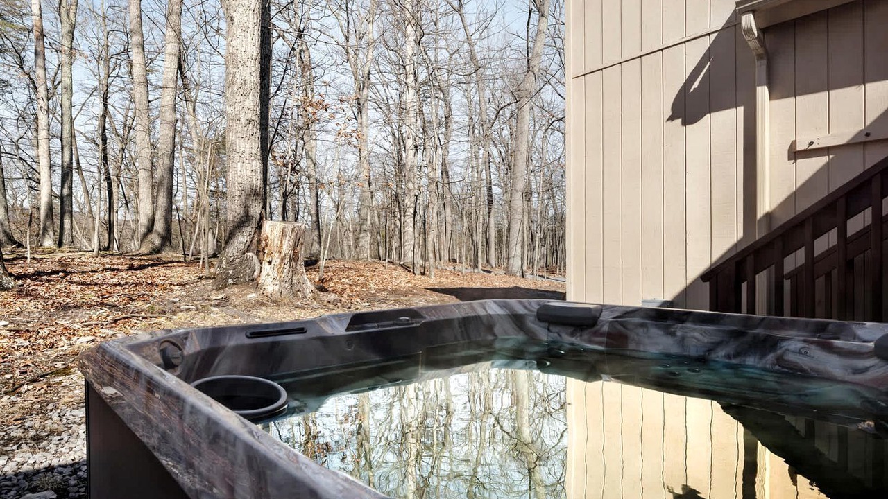 Photo of Outdoor in The Woods