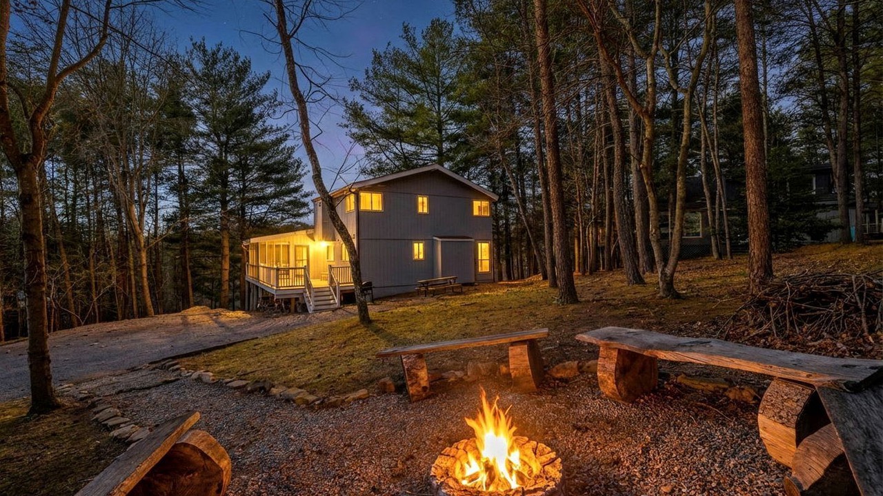Photo of Outdoor in The Woods