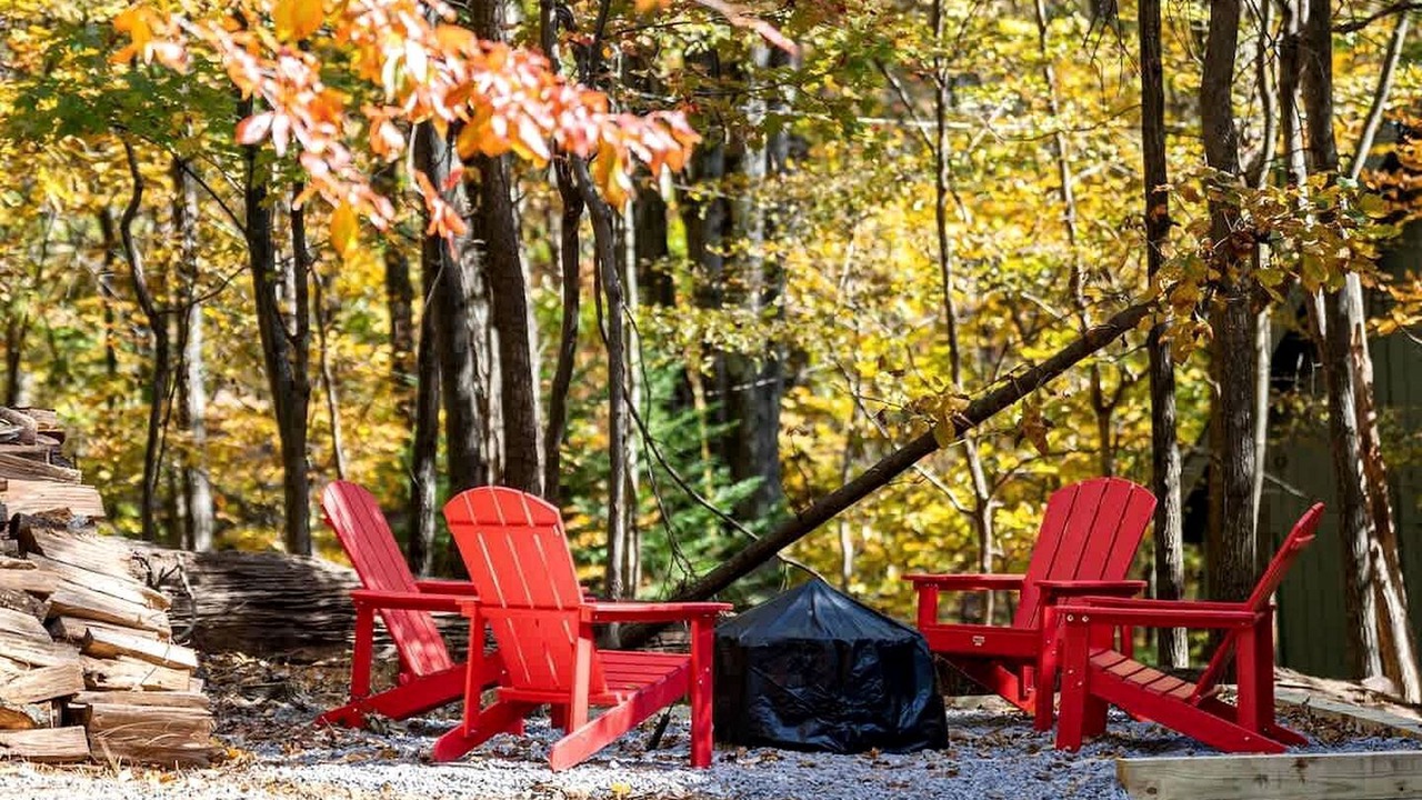 Photo of Outdoor in The Woods