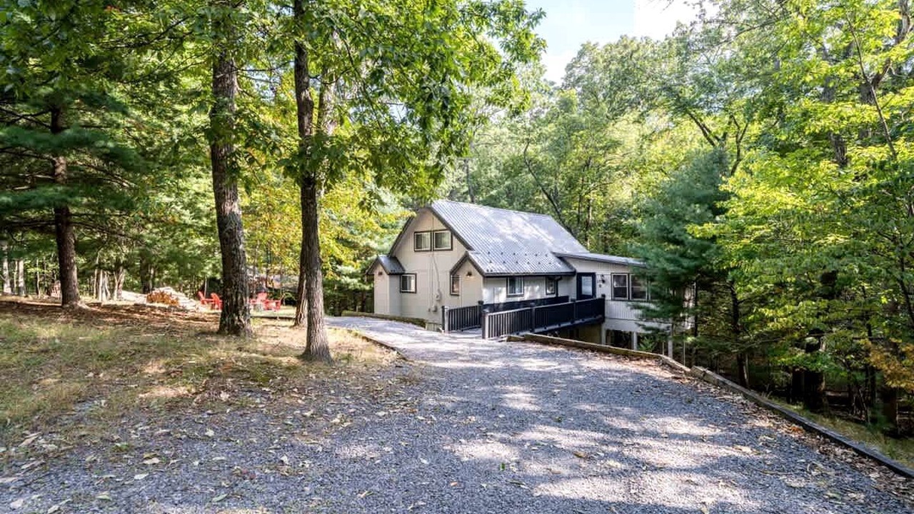 Photo of Outdoor in The Woods