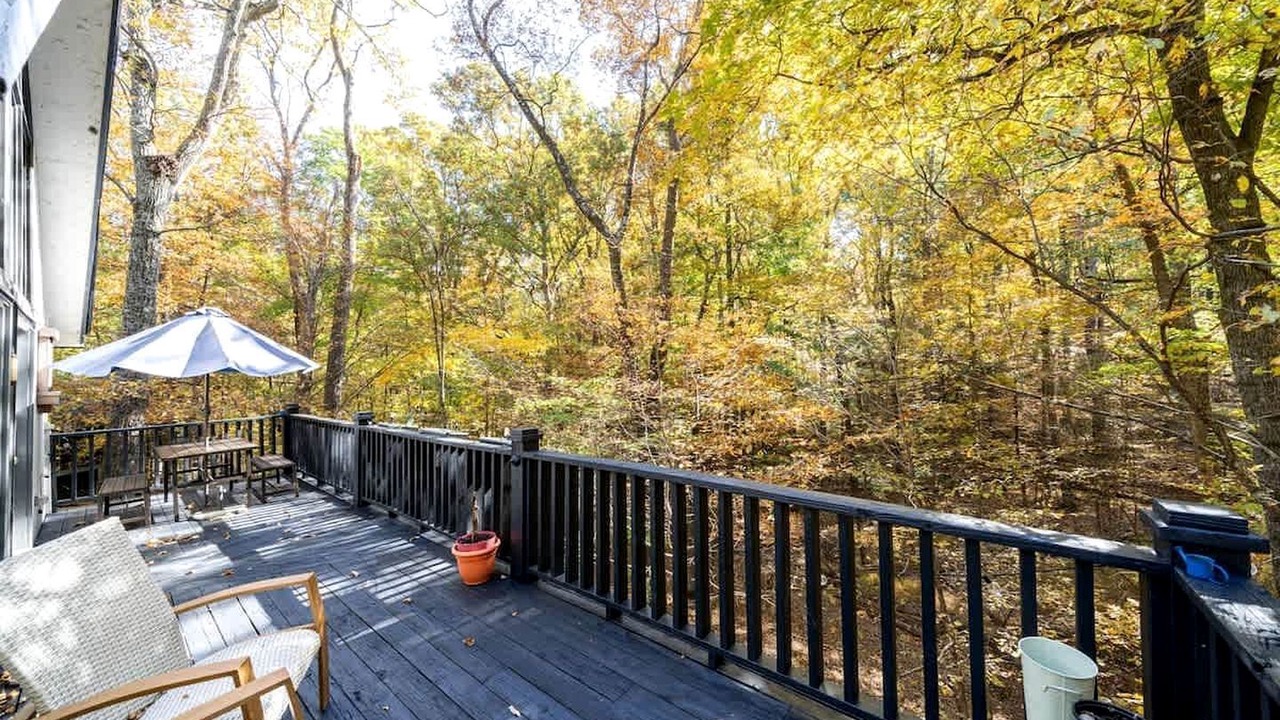 Photo of Outdoor in The Woods