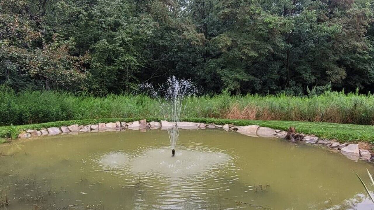 Photo of Outdoor in Swanton