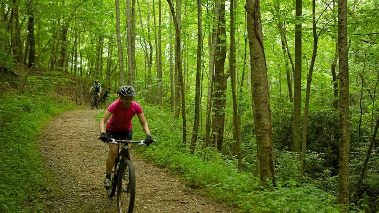 Photo of Outdoor in Lake Lure