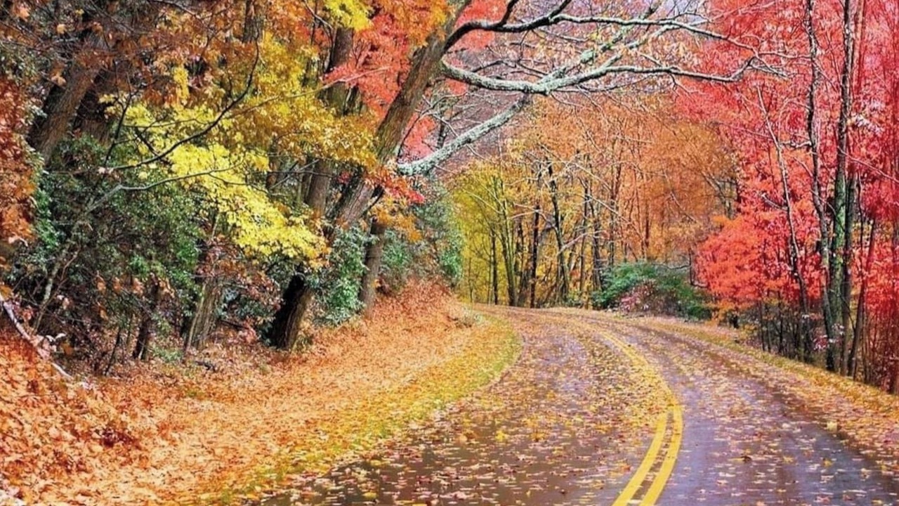 Photo of Outdoor in Lake Lure