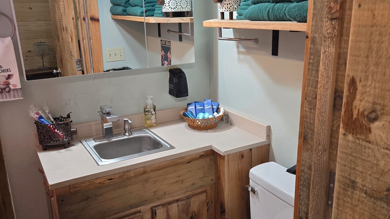 Photo of Bathroom in Roan Mountain