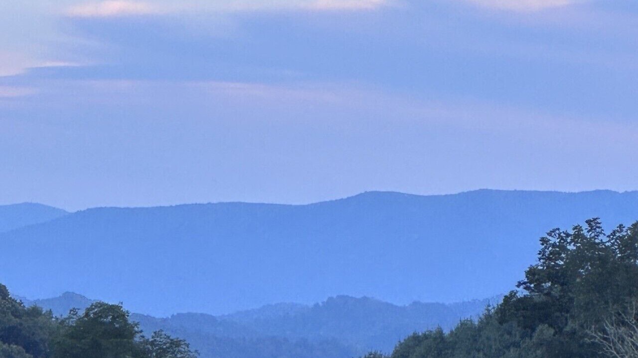 Photo of Others in Mouth of Wilson