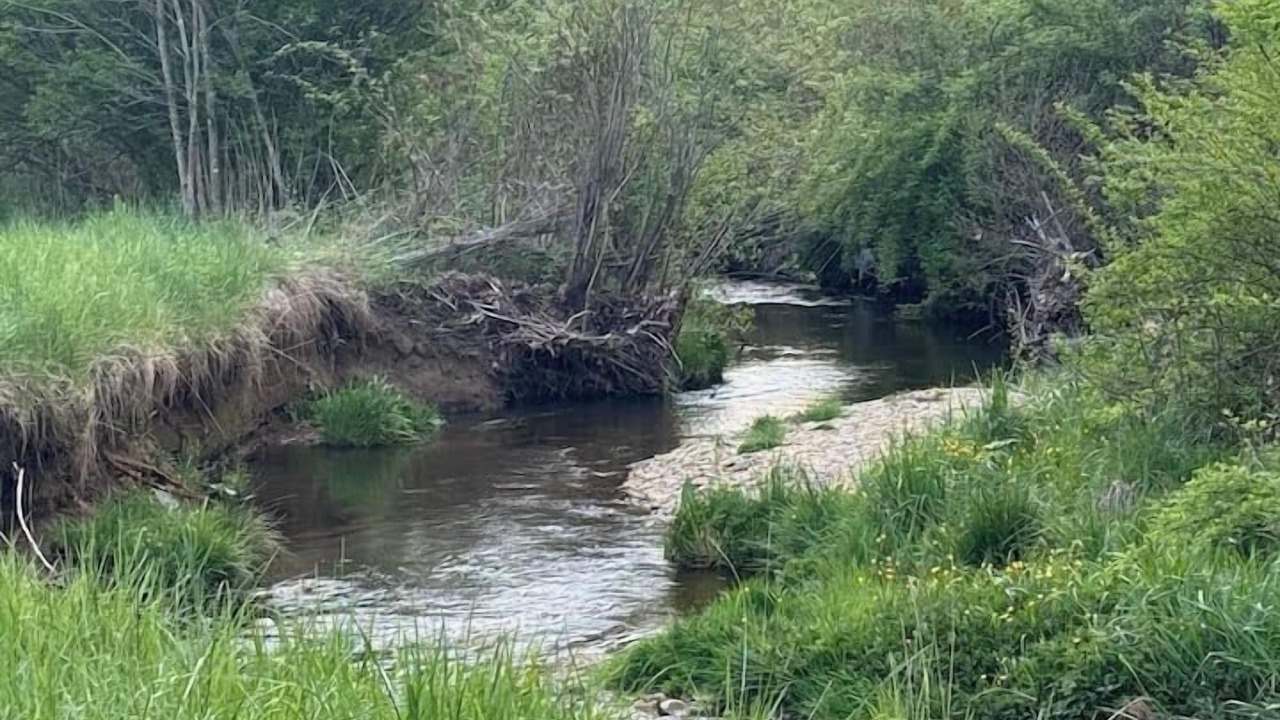 Photo of Others in Newland