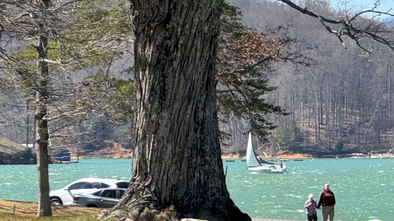 Photo of Others in Hampton