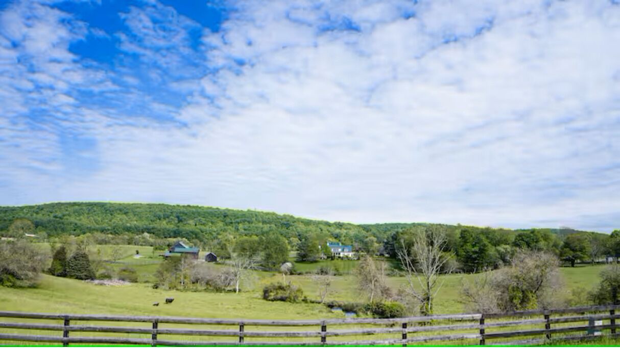 Photo of Others in Purcellville
