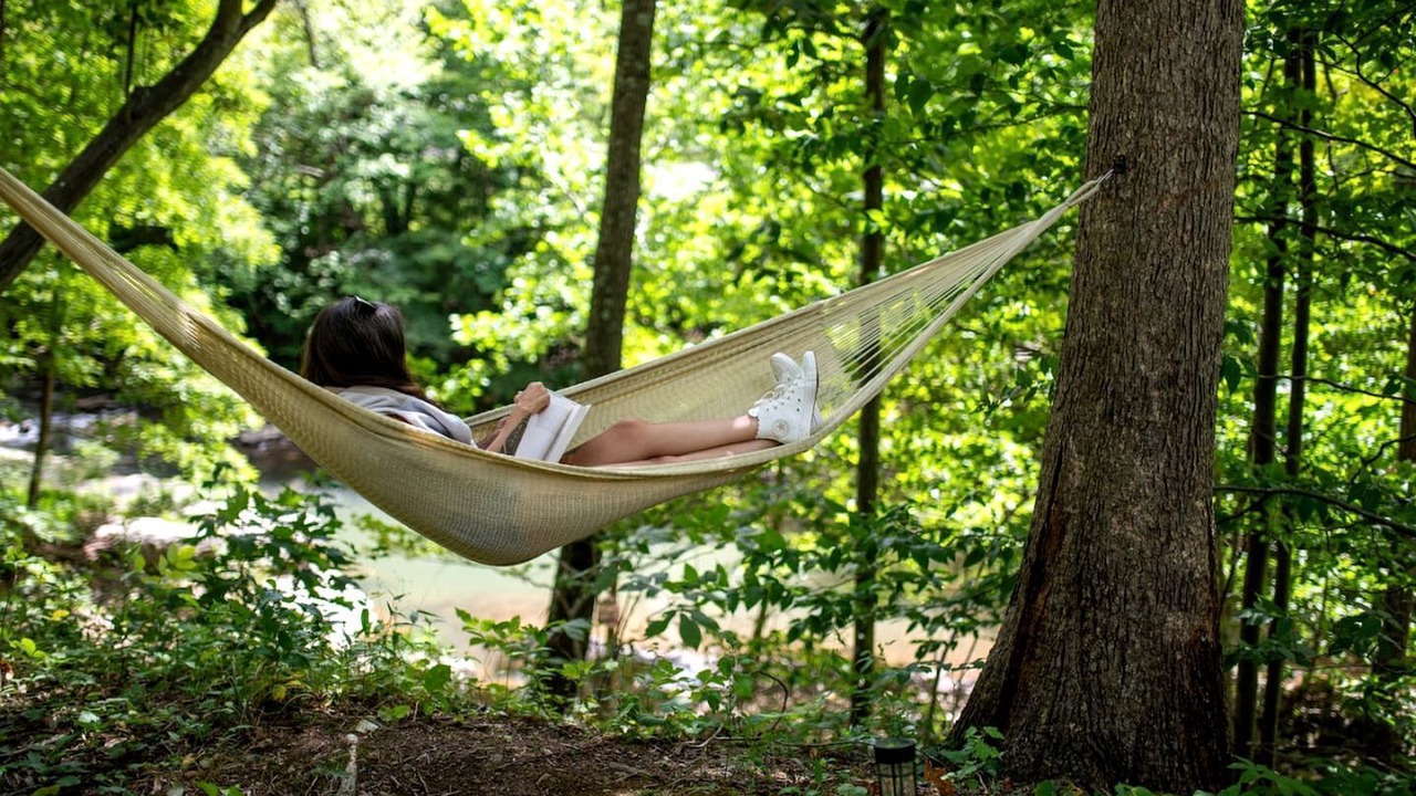 Photo of Outdoor in Elk Garden