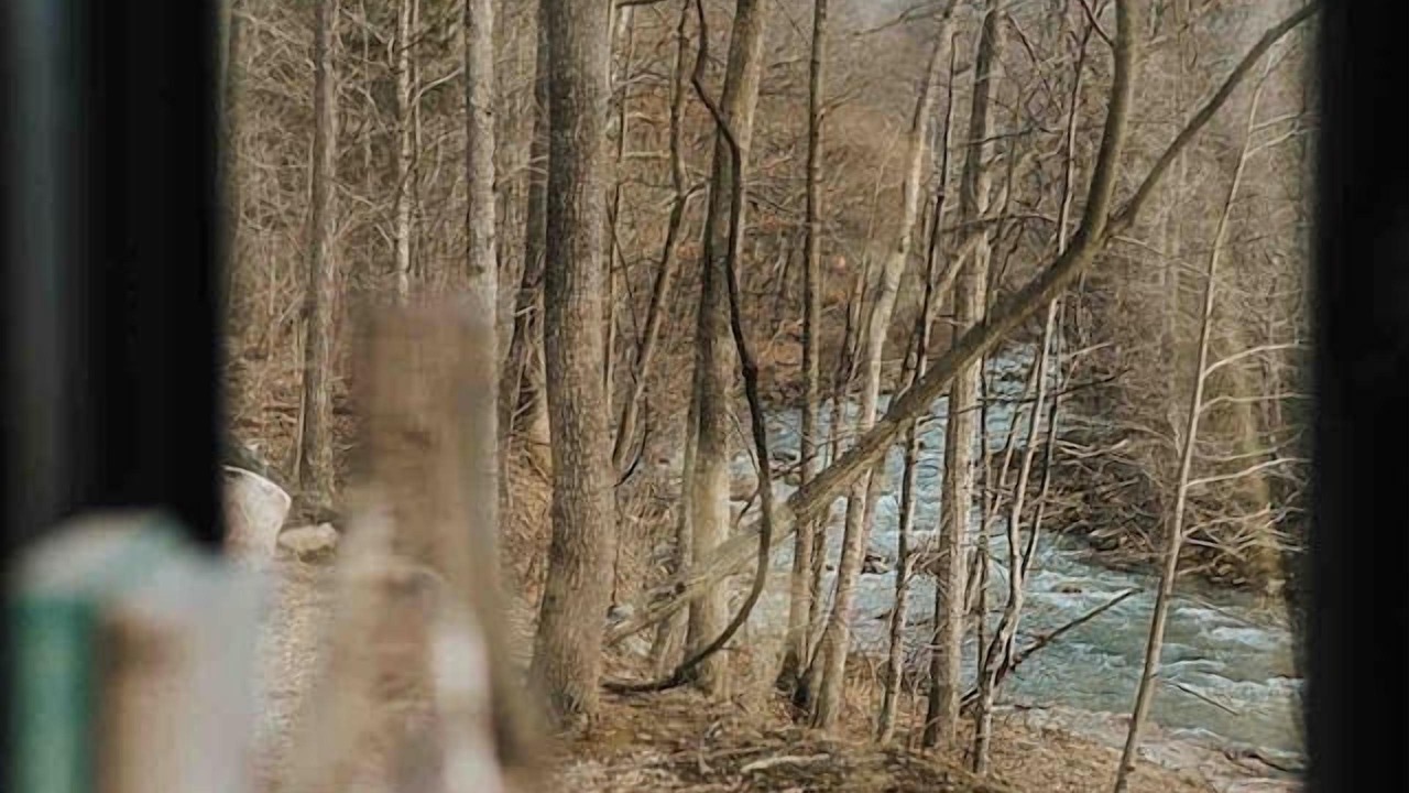 Photo of Others in Elk Garden