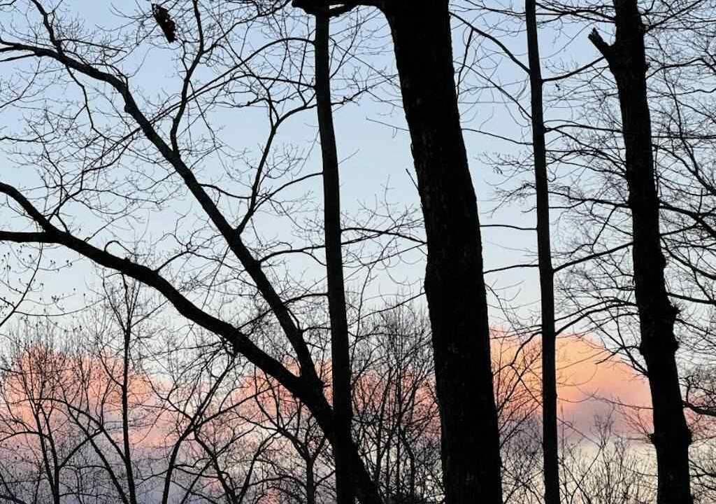 Photo of Others in Lake Lure