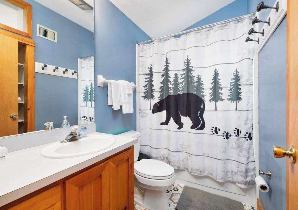 Photo of Bathroom in Lake Lure
